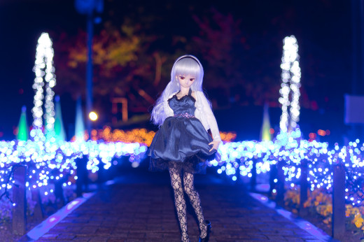 677305 (a): :1927x1280